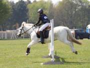 Image 264 in IPSWICH HORSE SOCIETY SPRING SHOW. 22 APRIL 2019