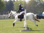 Image 264 in IPSWICH HORSE SOCIETY SPRING SHOW. 22  APRIL 2019