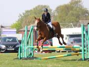 Image 265 in IPSWICH HORSE SOCIETY SPRING SHOW. 22 APRIL 2019