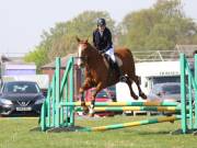 Image 265 in IPSWICH HORSE SOCIETY SPRING SHOW. 22  APRIL 2019