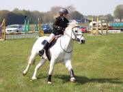 Image 267 in IPSWICH HORSE SOCIETY SPRING SHOW. 22 APRIL 2019