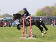 Image 269 in IPSWICH HORSE SOCIETY SPRING SHOW. 22  APRIL 2019