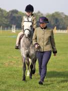 Image 27 in IPSWICH HORSE SOCIETY SPRING SHOW. 22 APRIL 2019