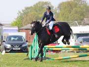 Image 271 in IPSWICH HORSE SOCIETY SPRING SHOW. 22  APRIL 2019