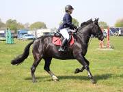 Image 272 in IPSWICH HORSE SOCIETY SPRING SHOW. 22 APRIL 2019