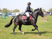 Image 272 in IPSWICH HORSE SOCIETY SPRING SHOW. 22  APRIL 2019