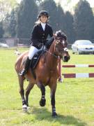 Image 277 in IPSWICH HORSE SOCIETY SPRING SHOW. 22 APRIL 2019
