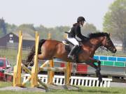 Image 278 in IPSWICH HORSE SOCIETY SPRING SHOW. 22 APRIL 2019