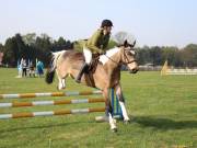 Image 28 in IPSWICH HORSE SOCIETY SPRING SHOW. 22 APRIL 2019