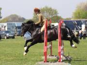 Image 281 in IPSWICH HORSE SOCIETY SPRING SHOW. 22 APRIL 2019