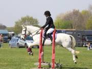 Image 283 in IPSWICH HORSE SOCIETY SPRING SHOW. 22  APRIL 2019