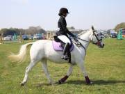 Image 284 in IPSWICH HORSE SOCIETY SPRING SHOW. 22 APRIL 2019