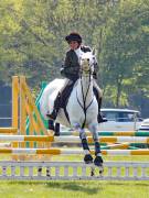 Image 286 in IPSWICH HORSE SOCIETY SPRING SHOW. 22 APRIL 2019