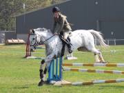 Image 287 in IPSWICH HORSE SOCIETY SPRING SHOW. 22  APRIL 2019