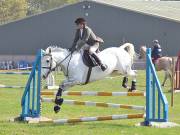Image 288 in IPSWICH HORSE SOCIETY SPRING SHOW. 22 APRIL 2019