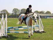 Image 289 in IPSWICH HORSE SOCIETY SPRING SHOW. 22 APRIL 2019