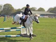 Image 291 in IPSWICH HORSE SOCIETY SPRING SHOW. 22  APRIL 2019