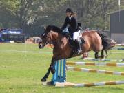 Image 292 in IPSWICH HORSE SOCIETY SPRING SHOW. 22 APRIL 2019