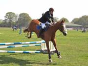 Image 294 in IPSWICH HORSE SOCIETY SPRING SHOW. 22 APRIL 2019