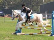 Image 296 in IPSWICH HORSE SOCIETY SPRING SHOW. 22 APRIL 2019