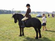 Image 297 in IPSWICH HORSE SOCIETY SPRING SHOW. 22 APRIL 2019