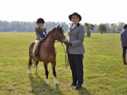 Image 31 in IPSWICH HORSE SOCIETY SPRING SHOW. 22 APRIL 2019