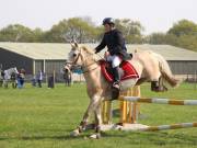 Image 317 in IPSWICH HORSE SOCIETY SPRING SHOW. 22  APRIL 2019