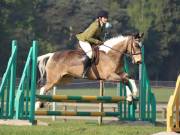 Image 32 in IPSWICH HORSE SOCIETY SPRING SHOW. 22 APRIL 2019