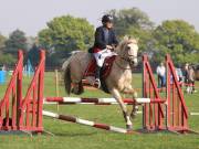 Image 325 in IPSWICH HORSE SOCIETY SPRING SHOW. 22  APRIL 2019