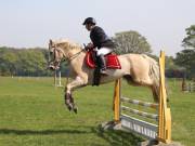 Image 326 in IPSWICH HORSE SOCIETY SPRING SHOW. 22  APRIL 2019