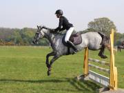 Image 330 in IPSWICH HORSE SOCIETY SPRING SHOW. 22  APRIL 2019