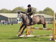 Image 331 in IPSWICH HORSE SOCIETY SPRING SHOW. 22 APRIL 2019