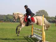 Image 332 in IPSWICH HORSE SOCIETY SPRING SHOW. 22 APRIL 2019
