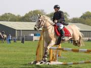Image 333 in IPSWICH HORSE SOCIETY SPRING SHOW. 22 APRIL 2019