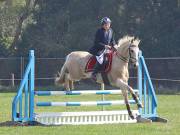 Image 334 in IPSWICH HORSE SOCIETY SPRING SHOW. 22 APRIL 2019