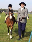 Image 34 in IPSWICH HORSE SOCIETY SPRING SHOW. 22 APRIL 2019
