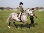 Image 37 in IPSWICH HORSE SOCIETY SPRING SHOW. 22 APRIL 2019
