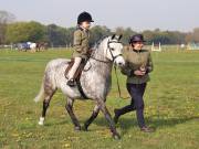 Image 38 in IPSWICH HORSE SOCIETY SPRING SHOW. 22 APRIL 2019
