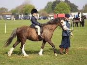 Image 39 in IPSWICH HORSE SOCIETY SPRING SHOW. 22 APRIL 2019