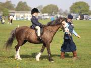 Image 40 in IPSWICH HORSE SOCIETY SPRING SHOW. 22 APRIL 2019