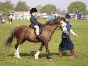 Image 40 in IPSWICH HORSE SOCIETY SPRING SHOW. 22  APRIL 2019