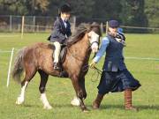 Image 41 in IPSWICH HORSE SOCIETY SPRING SHOW. 22  APRIL 2019