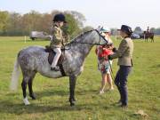 Image 42 in IPSWICH HORSE SOCIETY SPRING SHOW. 22  APRIL 2019