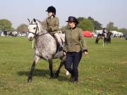 Image 43 in IPSWICH HORSE SOCIETY SPRING SHOW. 22 APRIL 2019