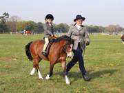 Image 44 in IPSWICH HORSE SOCIETY SPRING SHOW. 22 APRIL 2019