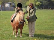 Image 46 in IPSWICH HORSE SOCIETY SPRING SHOW. 22  APRIL 2019