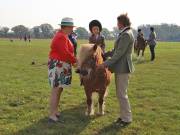 Image 48 in IPSWICH HORSE SOCIETY SPRING SHOW. 22 APRIL 2019
