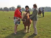 Image 48 in IPSWICH HORSE SOCIETY SPRING SHOW. 22  APRIL 2019