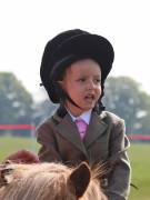 Image 50 in IPSWICH HORSE SOCIETY SPRING SHOW. 22 APRIL 2019