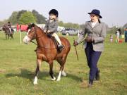 Image 51 in IPSWICH HORSE SOCIETY SPRING SHOW. 22 APRIL 2019